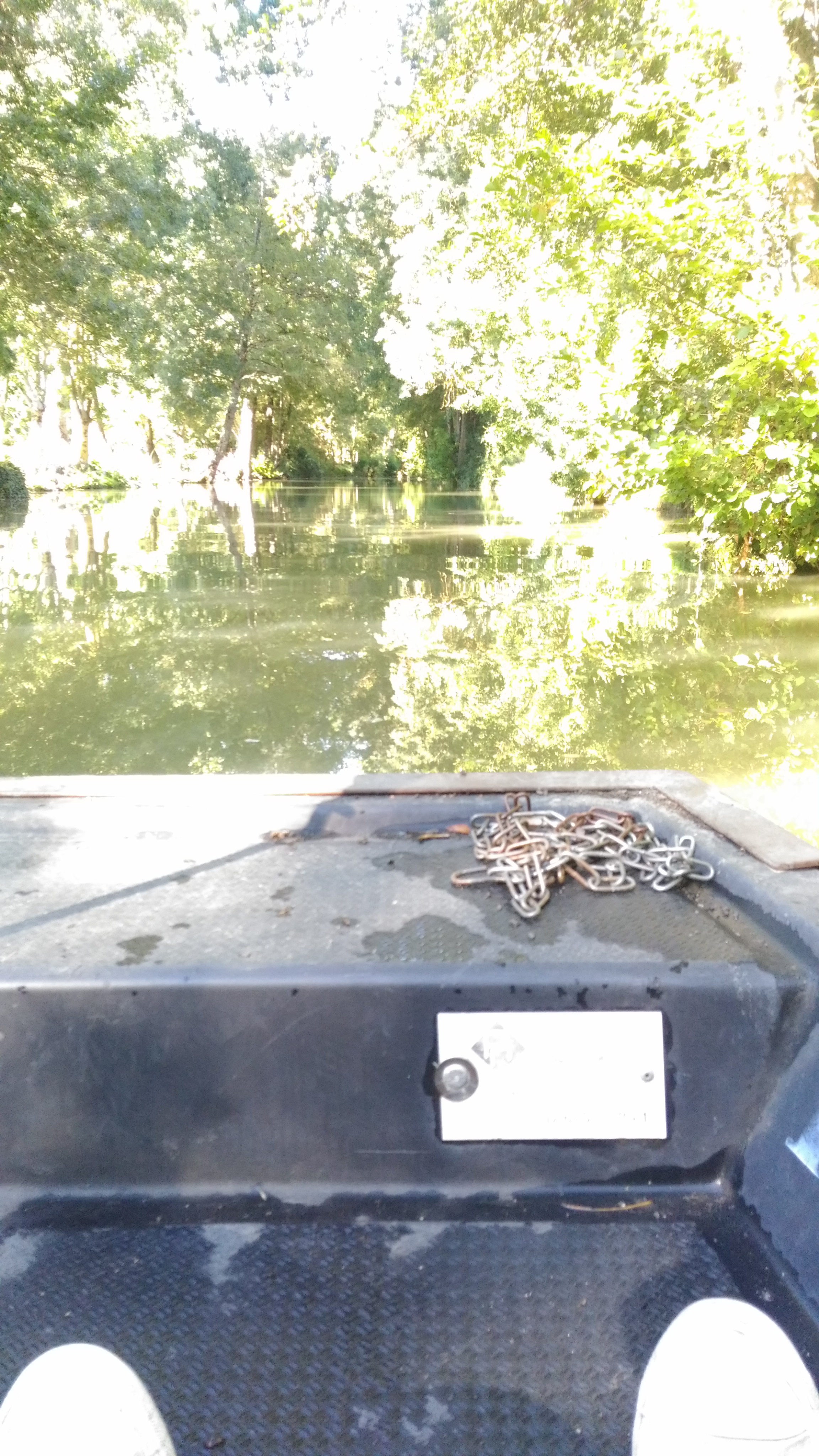 Photo n° 3 de l'avis de GUILHAUMOND.a fait le 29/09/2018 à 17:26