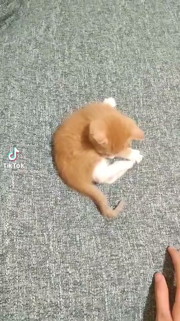 All In One Home Solutions