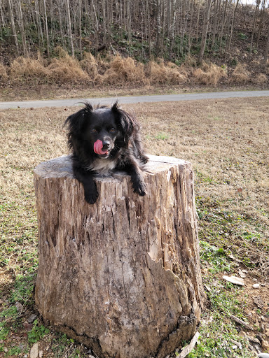 Nature Preserve «Piedmont Environmental Center», reviews and photos, 1220 Penny Rd, High Point, NC 27265, USA