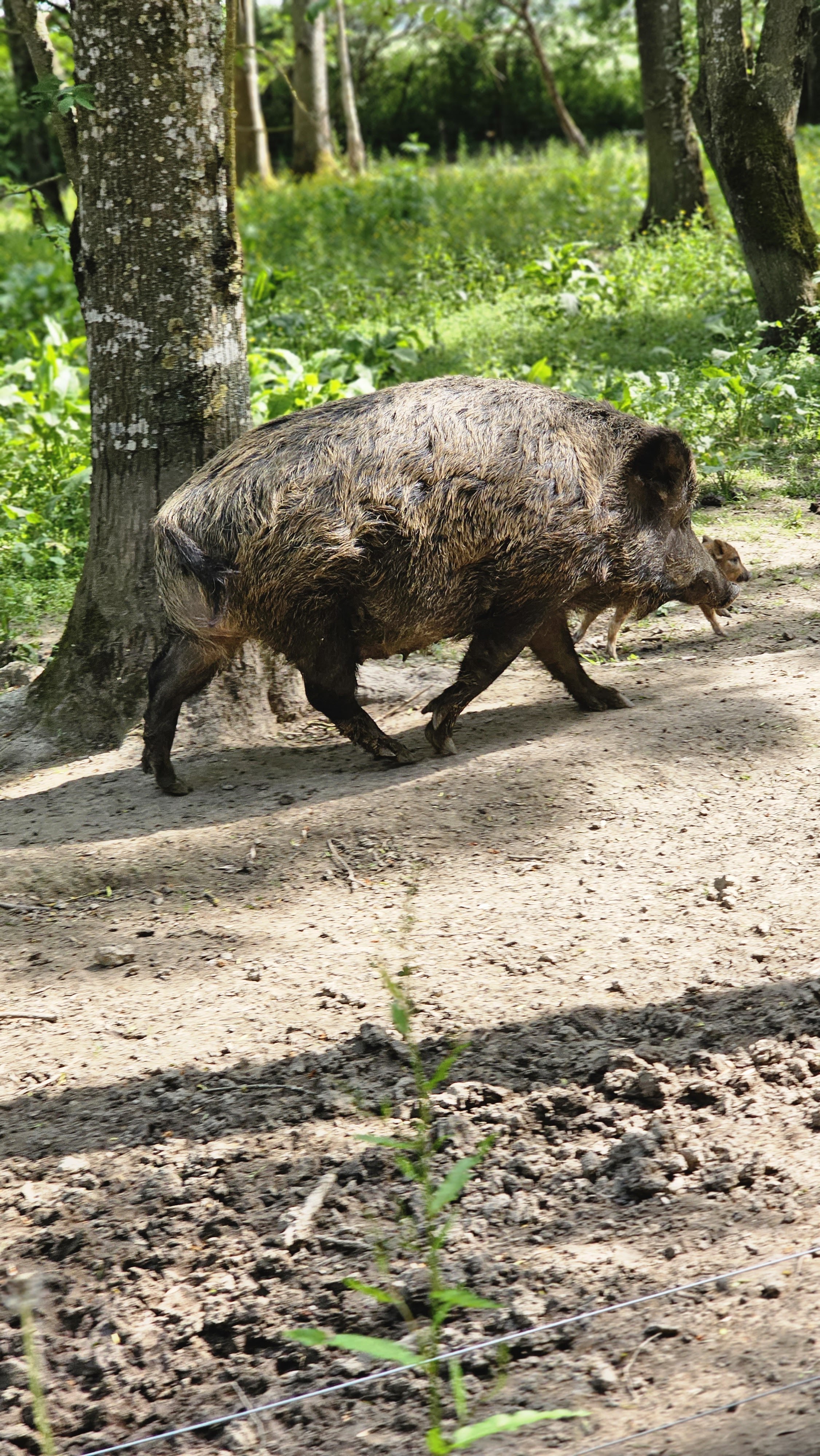Photo n° 3 de l'avis de Chris.e fait le 08/06/2023 à 16:32