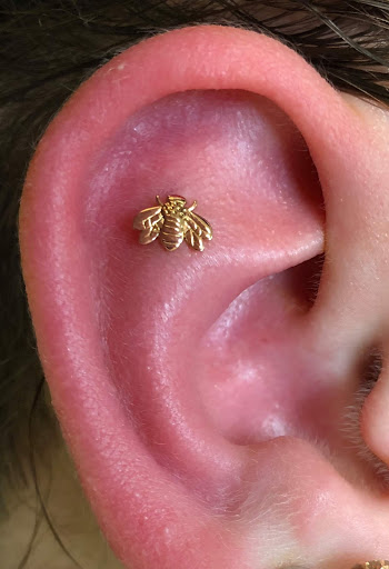 Body Piercing Shop «Steel N Ink Tattoo & Body Piercing», reviews and photos, 429 Water St, Eau Claire, WI 54703, USA