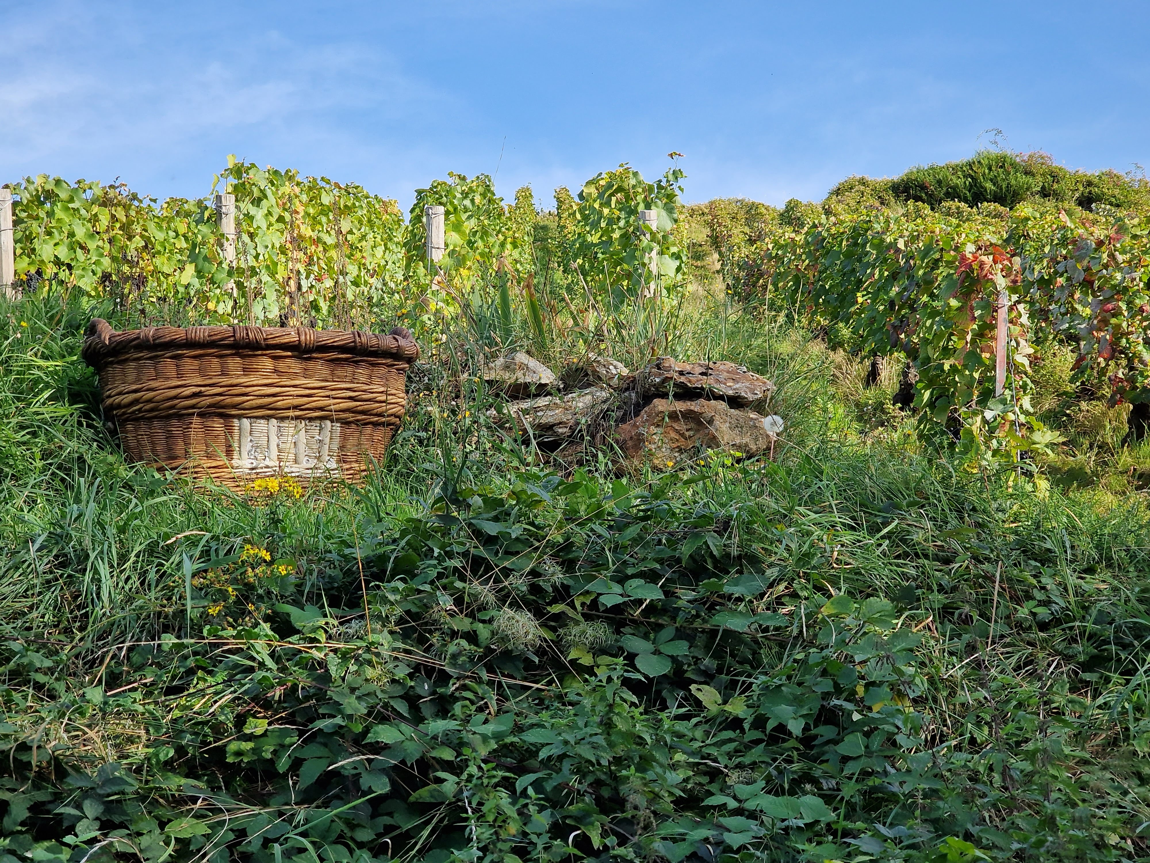 Photo n° 6 de l'avis de Sebastien.e fait le 07/10/2023 à 23:03
