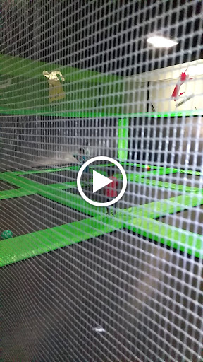 Amusement Center «Launch Trampoline Park», reviews and photos, 570 Boston Providence Hwy, Norwood, MA 02062, USA