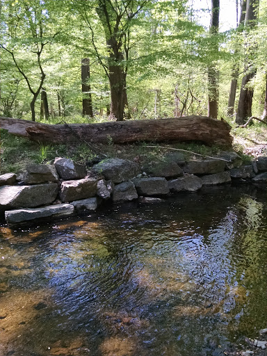 Park «Pilgrim Hill Local Park», reviews and photos, 1615 E Randolph Rd, Silver Spring, MD 20904, USA