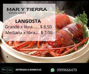 MAR Y TIERRA Minimarket