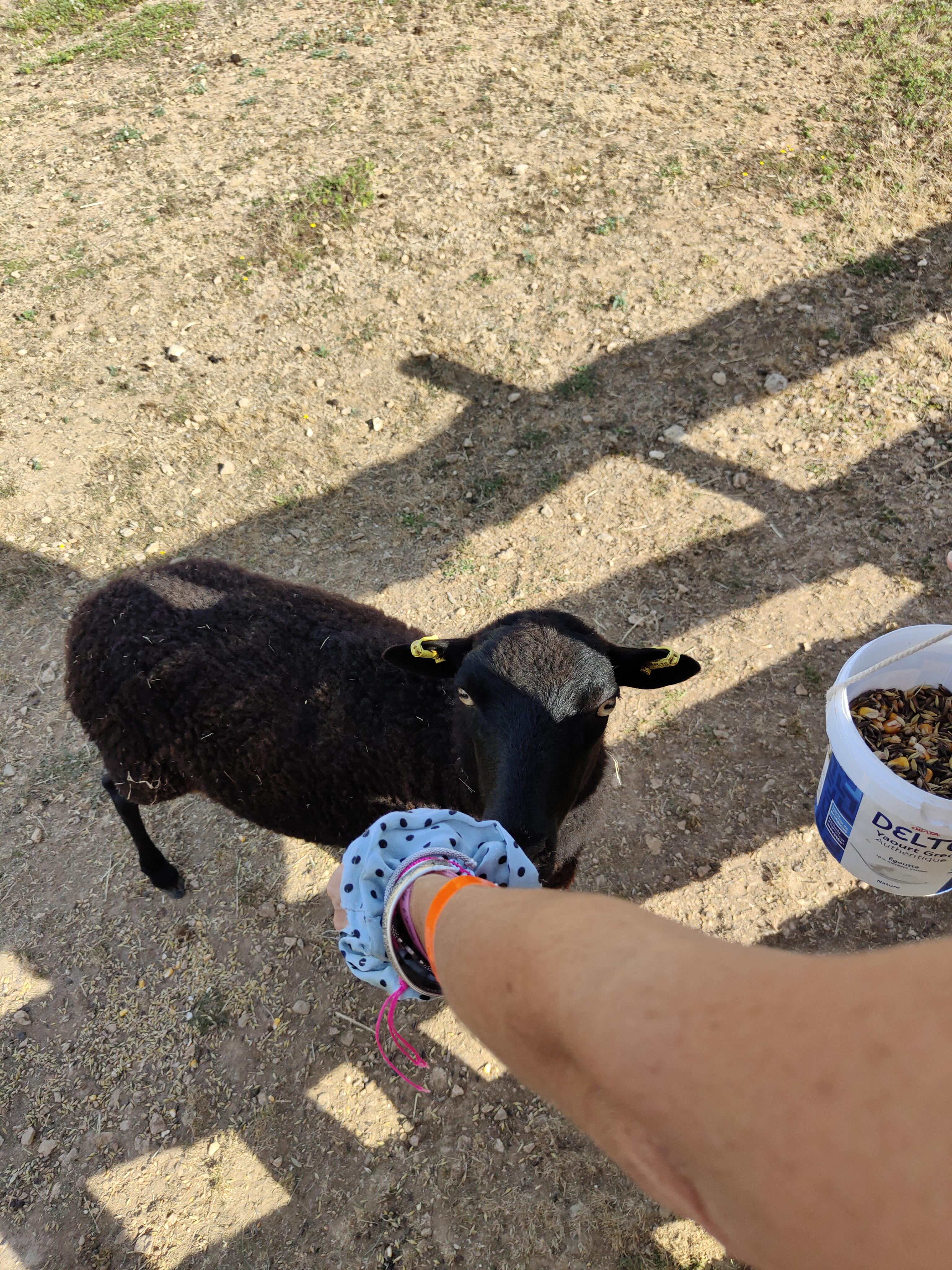 Photo n° 2 de l'avis de michel.e fait le 16/08/2022 à 17:14