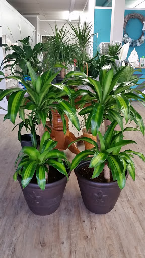 Florist «Blissful Blooms Floral», reviews and photos, 17 East Ave, Monroe, OH 45050, USA