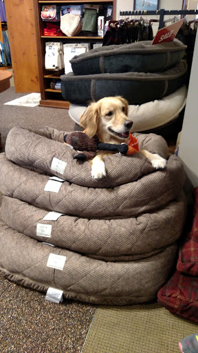 Clothing Store «Orvis», reviews and photos, 11800 W Broad St Suite 1650, Richmond, VA 23233, USA