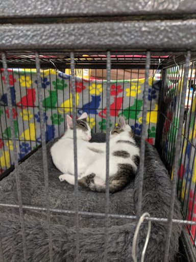 Pet Supply Store «Pet Supplies Plus», reviews and photos, 5708 State St, Saginaw, MI 48603, USA