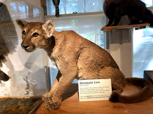 Natural History Museum «George B. Dorr Museum of Natural History», reviews and photos, 105 Eden St, Bar Harbor, ME 04609, USA