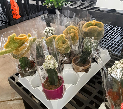 Department Store «Walmart Supercenter», reviews and photos, 1601 W State Hwy 114, Grapevine, TX 76051, USA