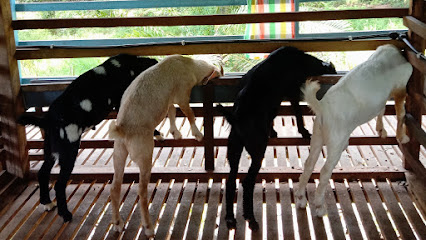 Matang Goat Farm