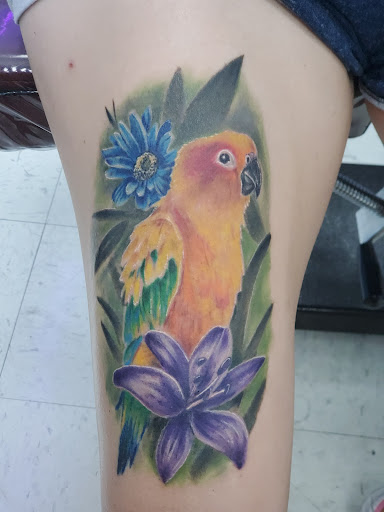 Tattoo Shop «Next Generation Tattoo & Body Piercing», reviews and photos, 1231 E Republic Rd, Springfield, MO 65804, USA