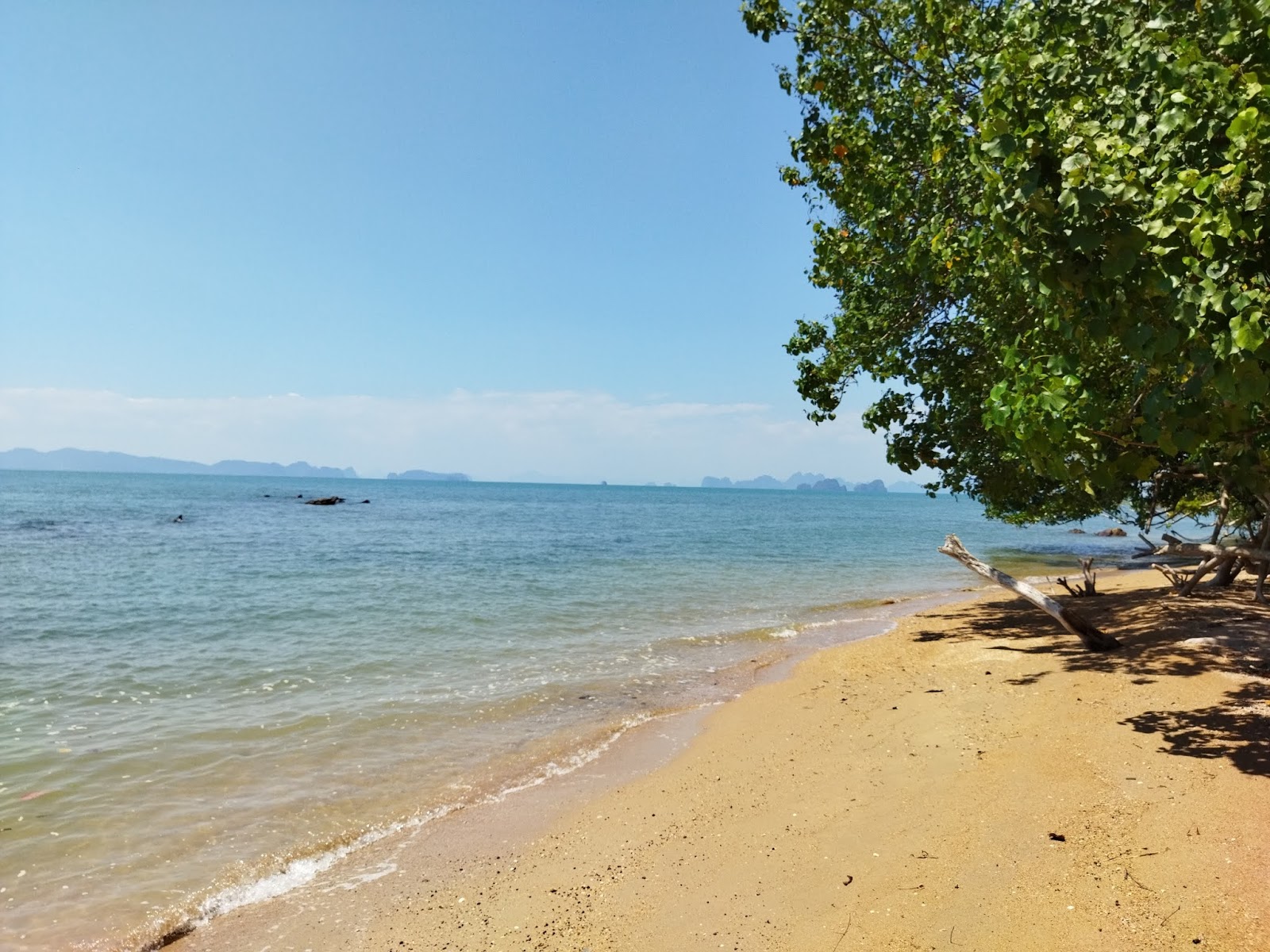 Foto de Thalane Beach e o assentamento
