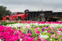 Landmark Landscape Group - Photo 5 - Car repair in College Station, TX, College Station