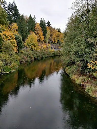 Park «Marymoor Park», reviews and photos, 6046 West Lake Sammamish Pkwy NE, Redmond, WA 98052, USA