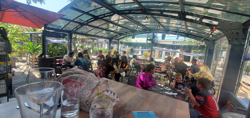 Restaurant «Browndog Treats, Drinks, & Eats», reviews and photos, 120 E Main St, Northville, MI 48167, USA