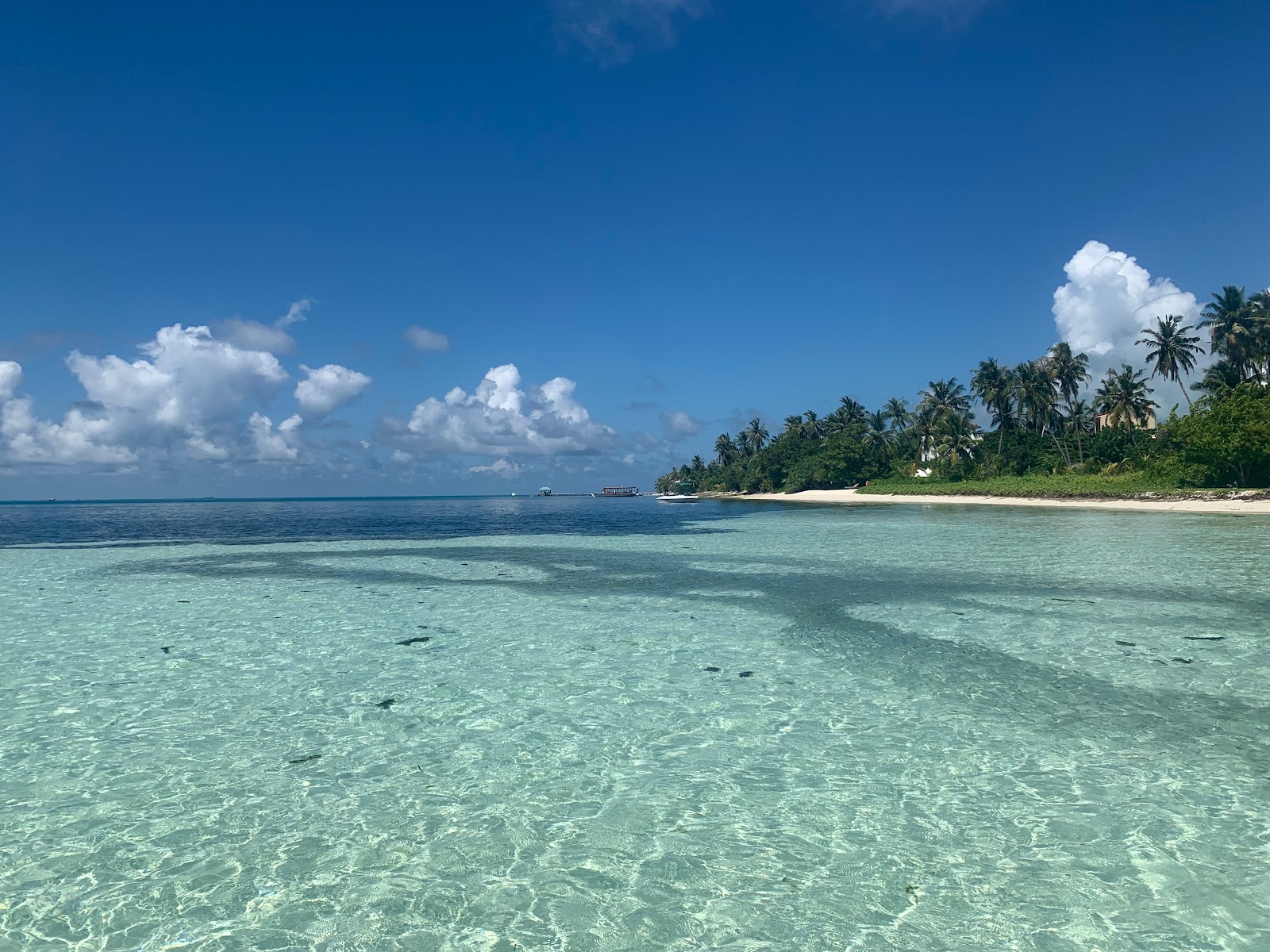 Foto de Dhangethi Beach con arena blanca superficie