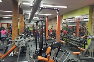 Pilsen's Gym Inc image