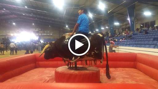 Stadium «Calsonic Arena», reviews and photos, 721 Whitthorne St, Shelbyville, TN 37160, USA