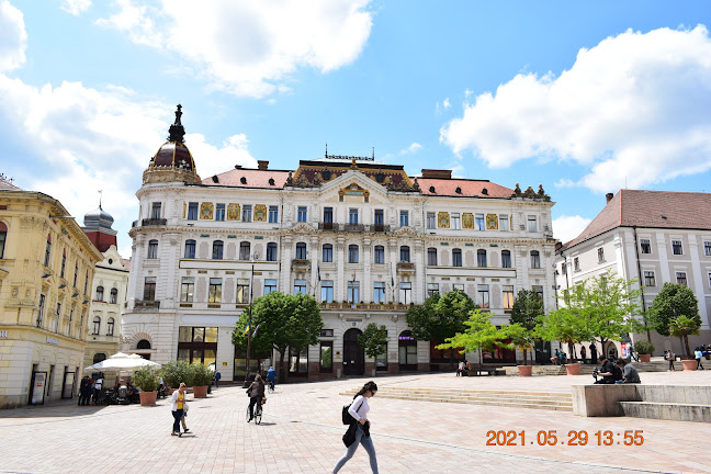 Baranya Megyei Önkormányzati Hivatal - Pécs