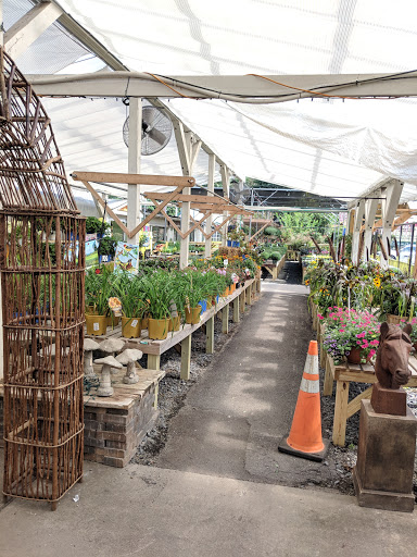 Plant Nursery «Potomac Petals and Plants», reviews and photos, 9545 River Rd, Rockville, MD 20854, USA