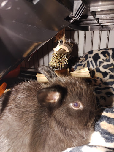 Pet Supply Store «Coastline Pet Supply», reviews and photos, 3530 Northgate Dr, Myrtle Beach, SC 29588, USA