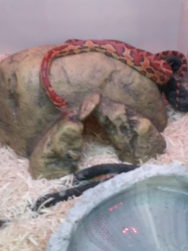 Pet Supply Store «Pet Supplies Plus», reviews and photos, 101 Sutton Ave, Oxford, MA 01540, USA