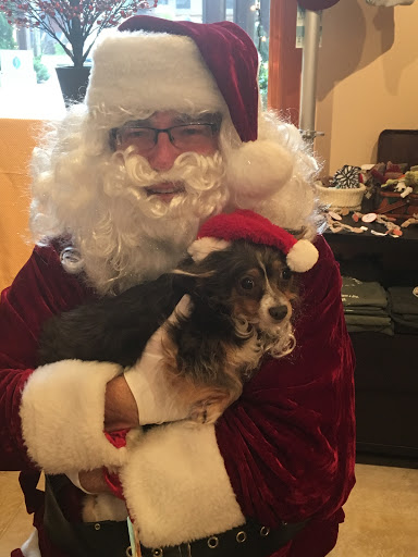 Pet Store «Four Paws on the Beach», reviews and photos, 144 Laneda Ave, Manzanita, OR 97130, USA