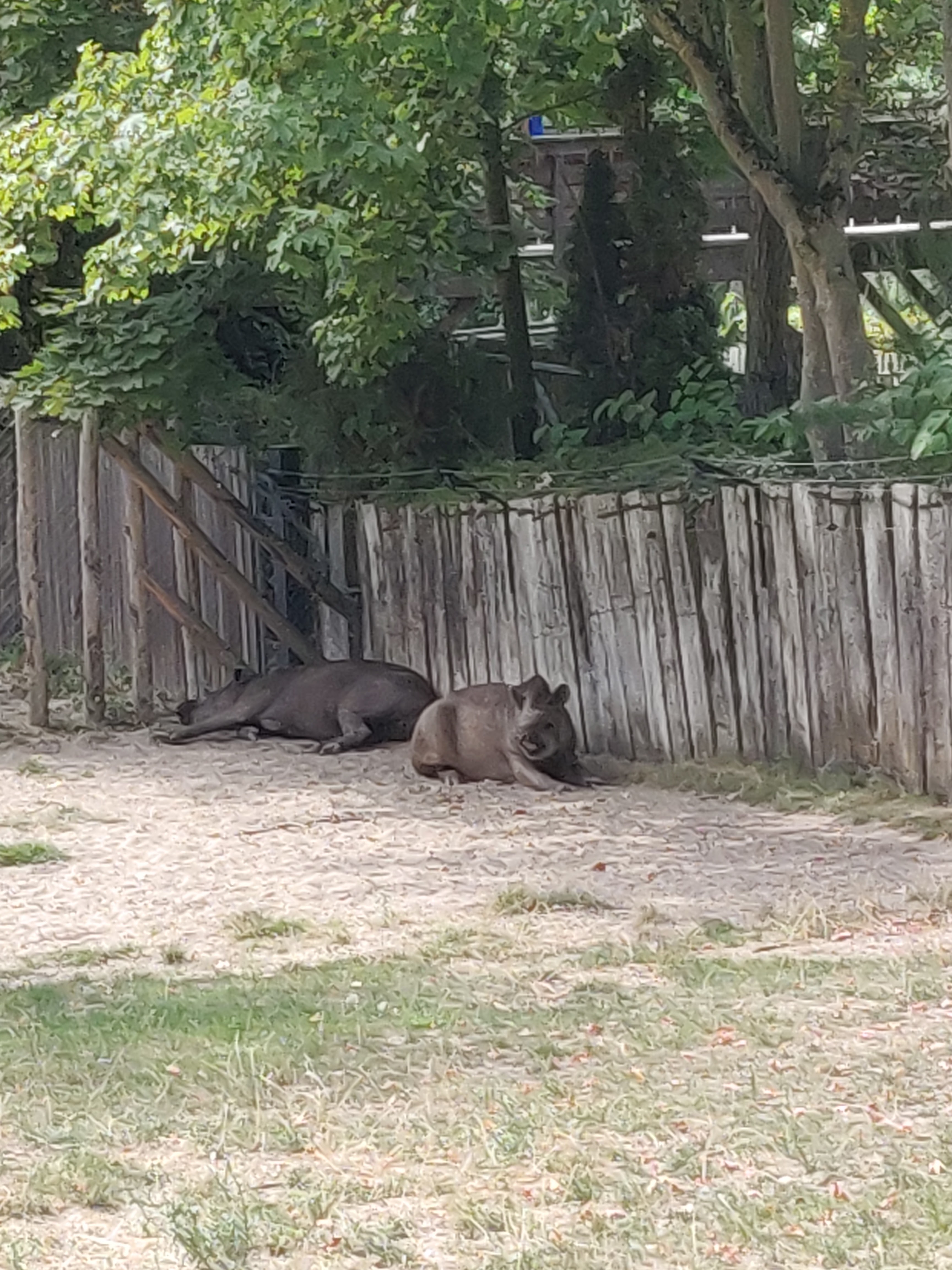 Photo n° 42 de l'avis de Amélie.e fait le 31/08/2019 à 17:39