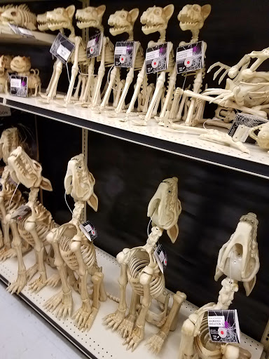 Discount Store «Big Lots», reviews and photos, 150 Vestal Pkwy W, Vestal, NY 13850, USA