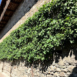 Photo n°5 de l'avis de Paolo.i fait le 13/08/2018 à 11:40 sur le  Restaurant Steinbock à Glurns