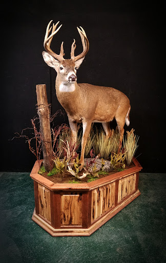 Taxidermist «HighPoint Taxidermy And Outfutters», reviews and photos, 14860 OH-13, Thornville, OH 43076, USA