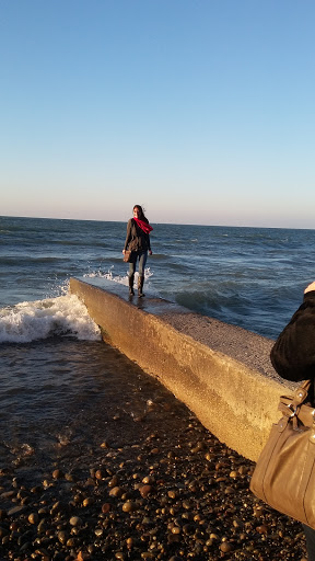 Winery «Old Firehouse Winery», reviews and photos, 5499 Lake Rd E, Geneva, OH 44041, USA