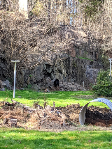 Science Museum «Museum of Life and Science», reviews and photos, 433 W Murray Ave, Durham, NC 27704, USA