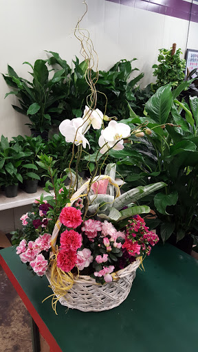 Florist «San Antonio Flower Co», reviews and photos, 7538 Broadway St, San Antonio, TX 78209, USA