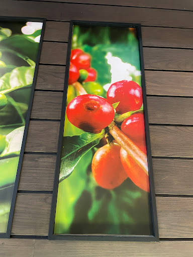 Top 20 cửa hàng phúc long Huyện Thủy Nguyên Hải Phòng 2022