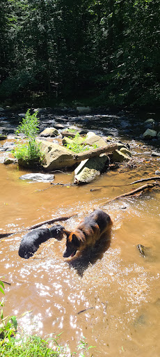 Historical Place «Jerusalem Mill», reviews and photos, 2813 Jerusalem Rd, Kingsville, MD 21087, USA