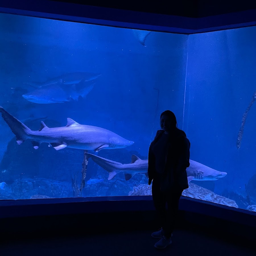The Maritime Aquarium at Norwalk
