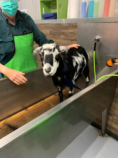 Pet Store «The Pet Works», reviews and photos, 407 4th Ave E, Olympia, WA 98501, USA