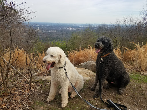 National Park «Kennesaw Mountain National Battlefield Park», reviews and photos, 900 Kennesaw Mountain Dr, Kennesaw, GA 30188, USA