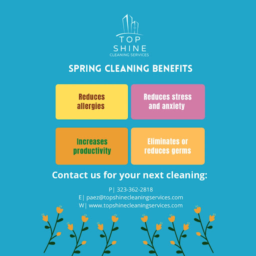 Top Shine Cleaning Services