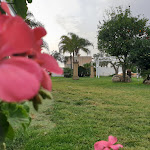 Photo n°2 de l'avis de Monica.u fait le 27/05/2022 à 04:44 sur le  Oltremare à Mazara del Vallo