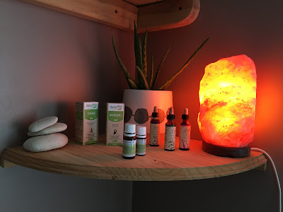 Michèle QUESNEY Praticienne en Hypnose et EFT, Conseillère en Naturopathie, Massage énergétique à Challans