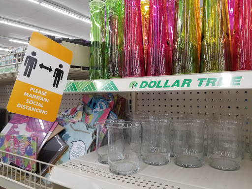 Dollar Store «Dollar Tree», reviews and photos, 6405 W North Ave, Oak Park, IL 60302, USA