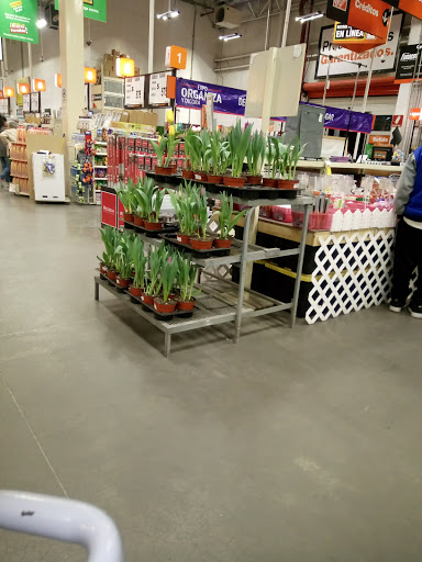 The Home Depot