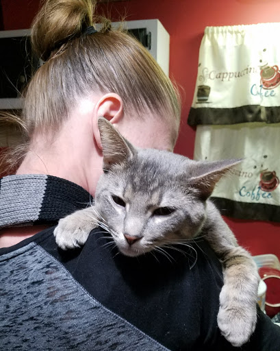 Shopping Mall «Mounds Mall», reviews and photos, 2109 S Scatterfield Rd, Anderson, IN 46016, USA