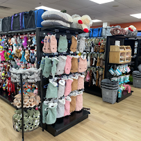 Petland McKinney - Photo 3 - Car repair in McKinney, TX, Frisco