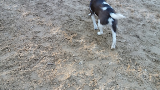 Dog Park «Andover dog park», reviews and photos, 288 High Plain Rd, Andover, MA 01810, USA