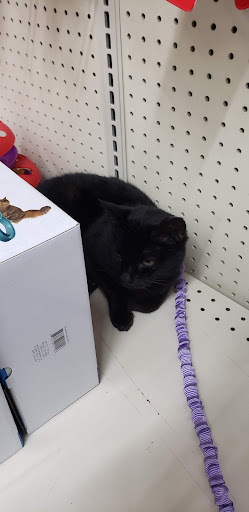 Department Store «Runnings of Brockport», reviews and photos, 4828 Lake Rd N, Brockport, NY 14420, USA